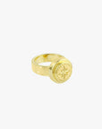 Wildthings Wander Pinky Ring Gold Plated